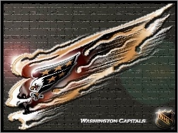 Washington Capitals, Drużyny, Logo, NHL